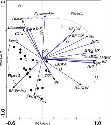 Investigating the role of hydrological connectivity on the processing of organic carbon in tropical aquatic ecosystems